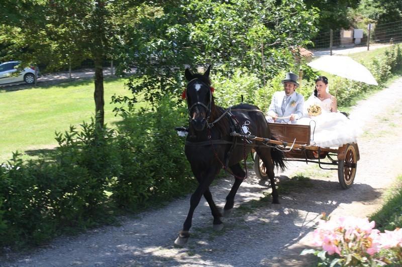 Agriturismo La Quercia Boccheggiano エクステリア 写真